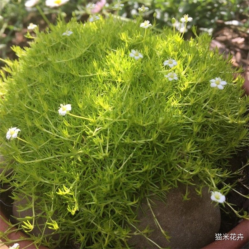 微信图片_20240305105103.jpg