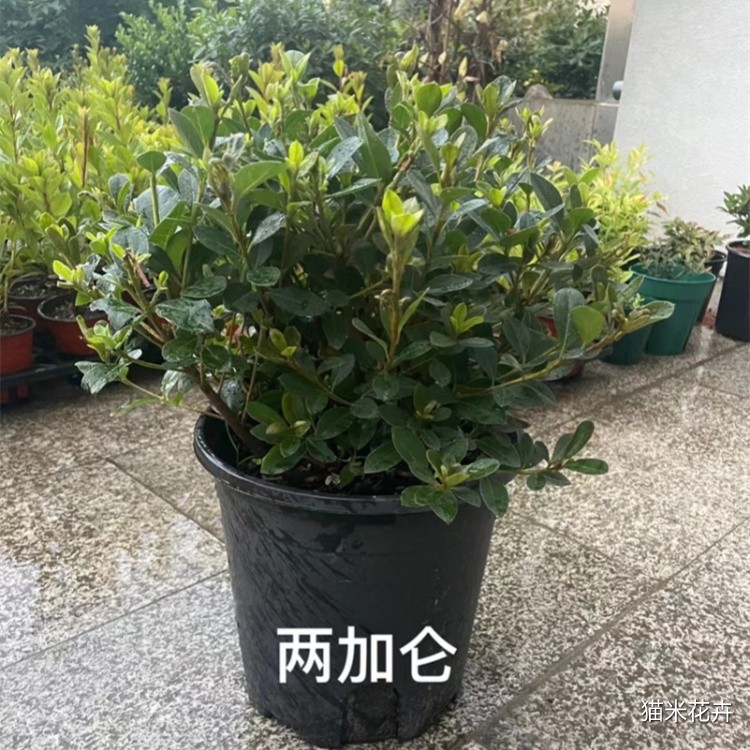 微信图片_20240304091353.jpg
