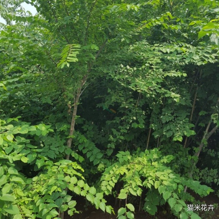 201508191600553660.jpg