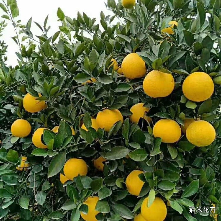 f11f3a292df5e0fe992547a5d82b23a85edf8db1d449.jpg