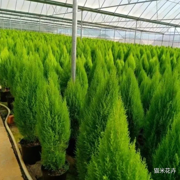 微信图片_20240308162618.jpg