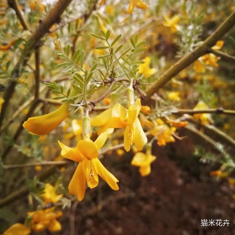 微信图片_20240308162822.jpg