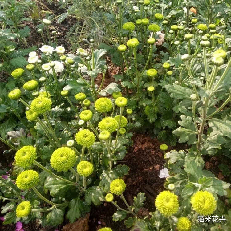 微信图片_20240308162839.jpg