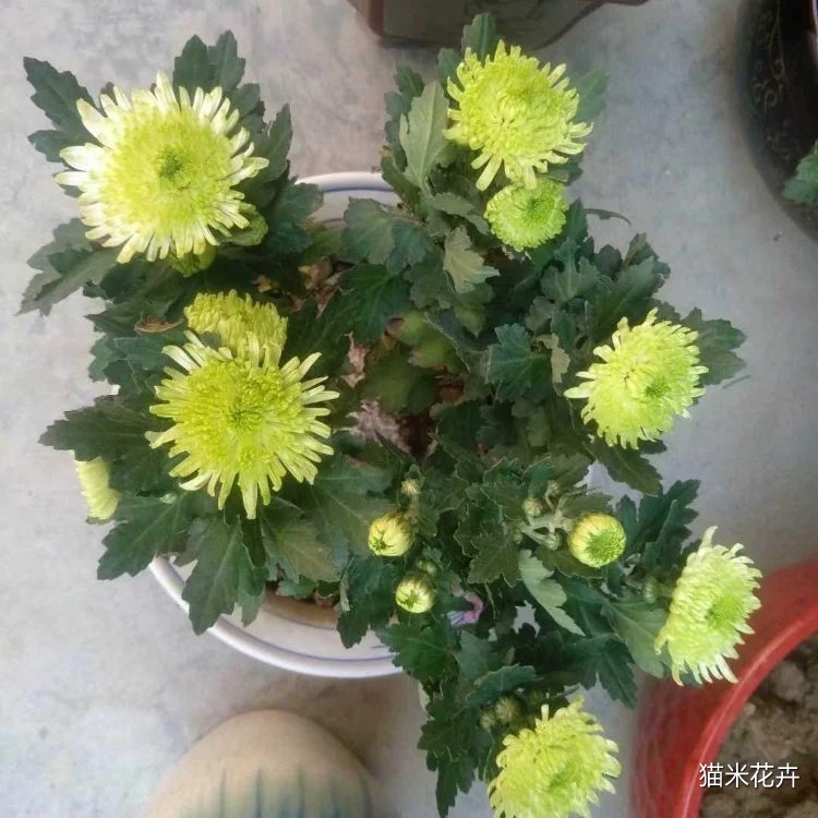 微信图片_20240314110547.jpg