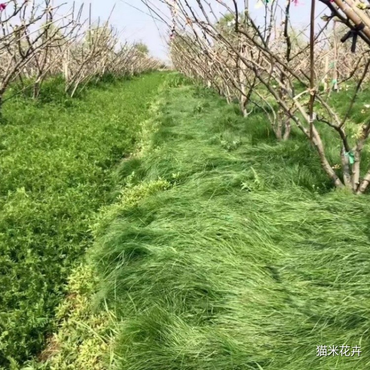 微信图片_20250327095621.jpg
