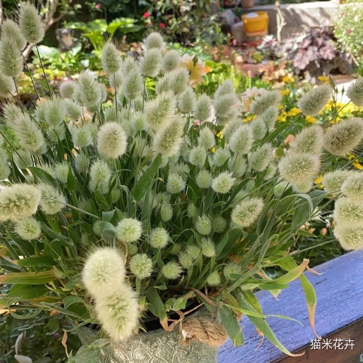微信图片_20240308163524.jpg
