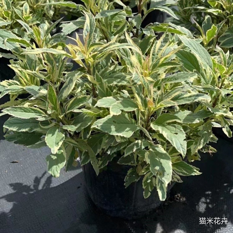 1-22050920131H21.jpg