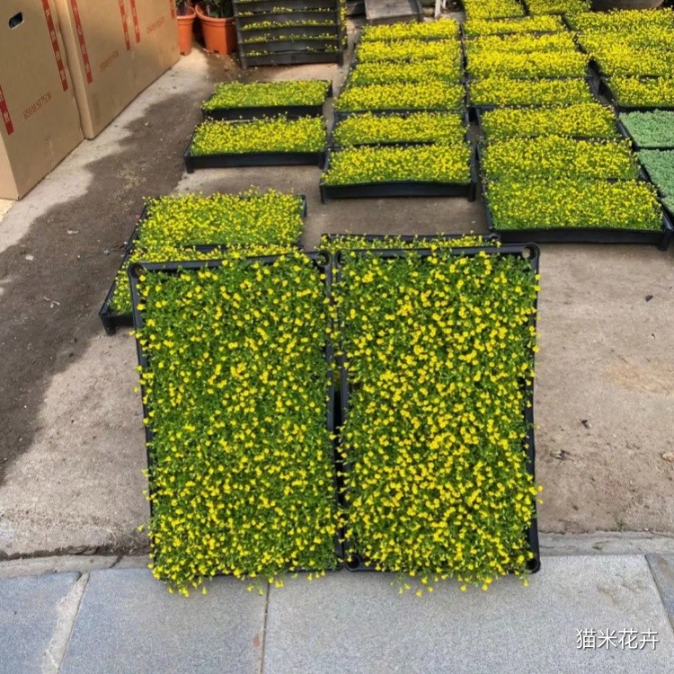 src=http___safe-img.xhscdn.com_bw1_56423f81-18ac-4c4c-a6c3-91589425f956_imageView2_2_w_1080_format_jpg&refer=http___safe-img.xhscdn.jpg