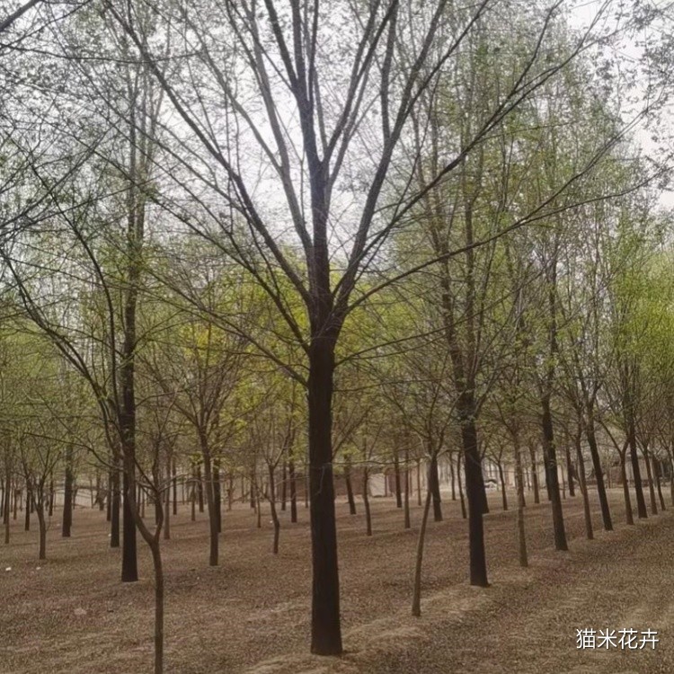 u=1847512961,564158478&fm=253&app=138&f=JPEG.jpg