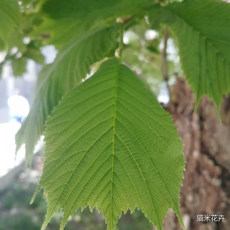 微信图片_20240308164801.jpg