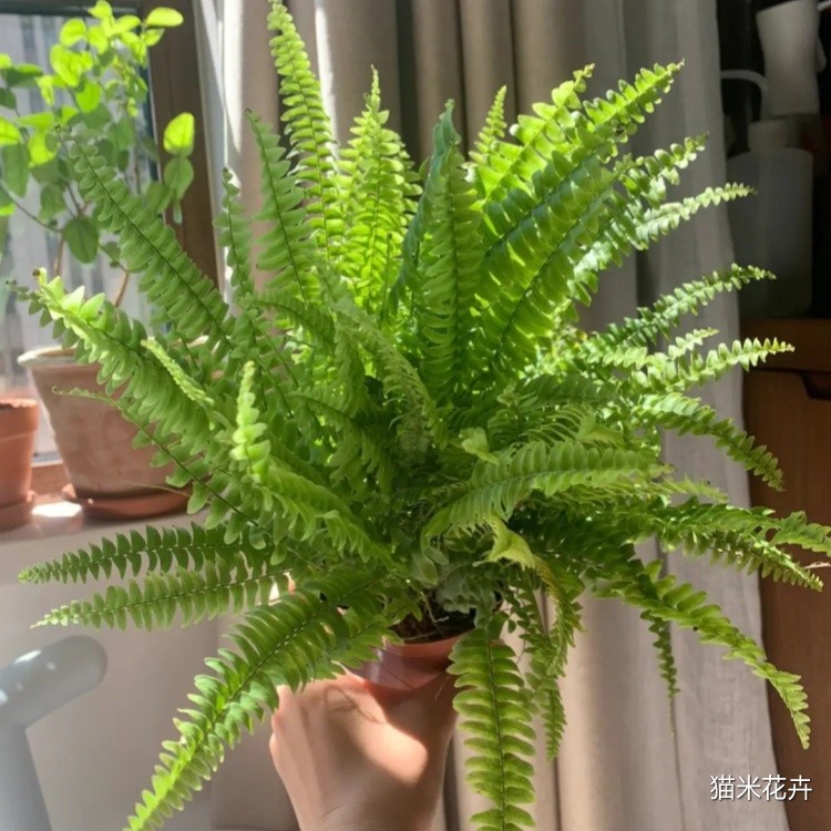微信图片_20240308170452.jpg