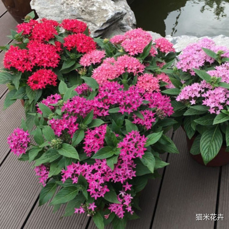 微信图片_20240308170551.jpg