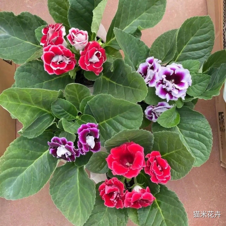 微信图片_20240309091227.jpg