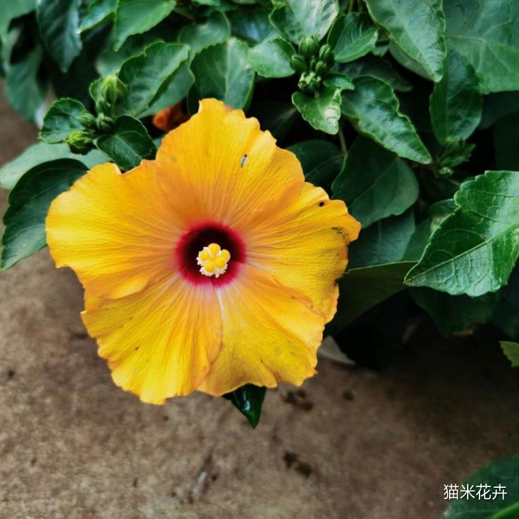 微信图片_20240309091034.jpg