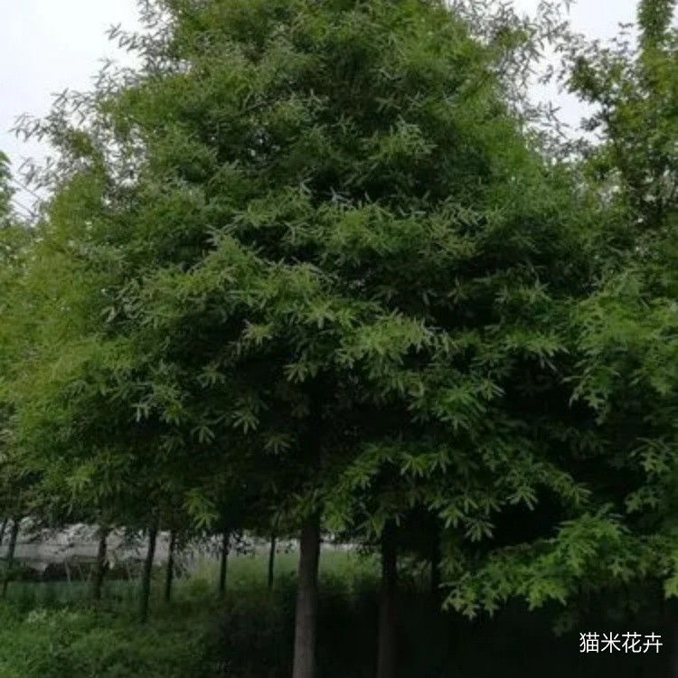 微信图片_20240309092325.jpg