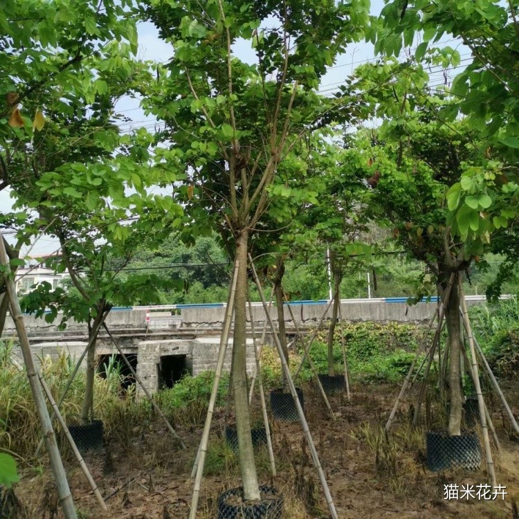 微信图片_20240309095939.jpg