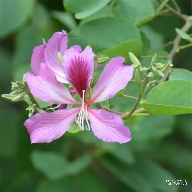微信图片_20240309100420.jpg