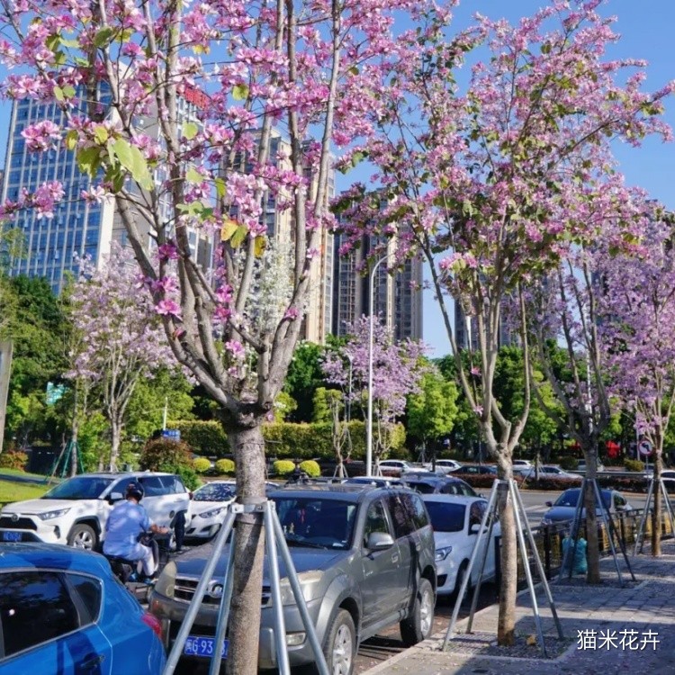 微信图片_20240309095917.jpg