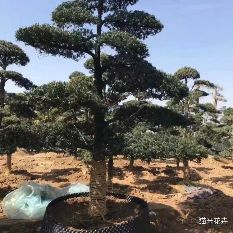 微信图片_20240309100515.jpg