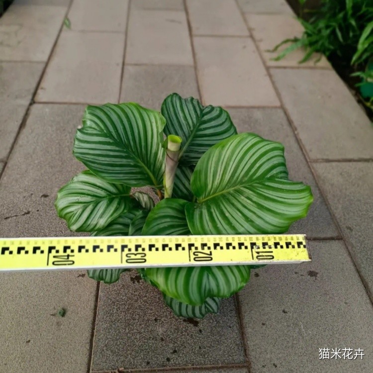 微信图片_20240309100627.jpg