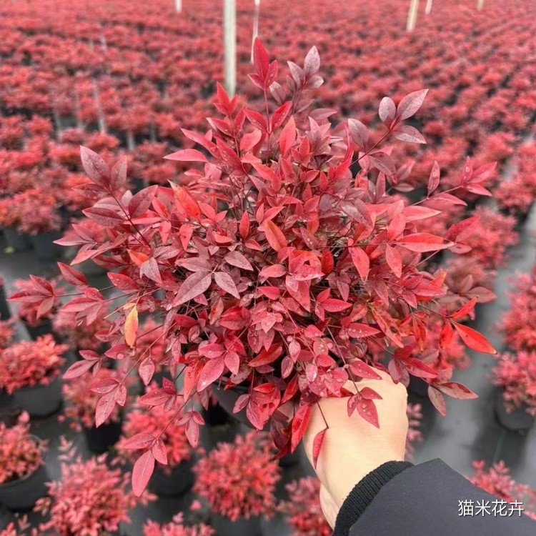 微信图片_20240103165524.jpg