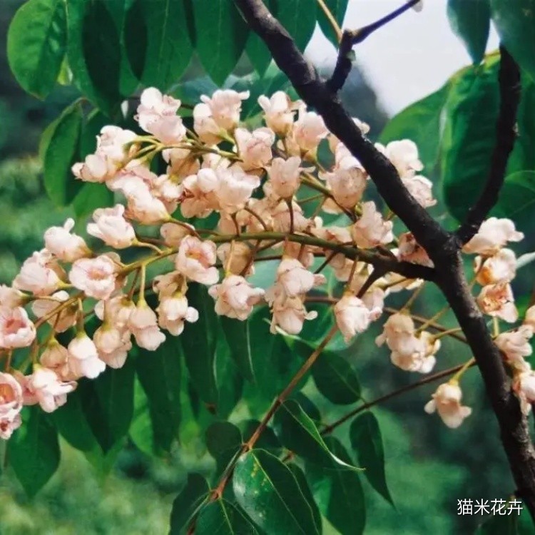 微信图片_20240309101218.jpg