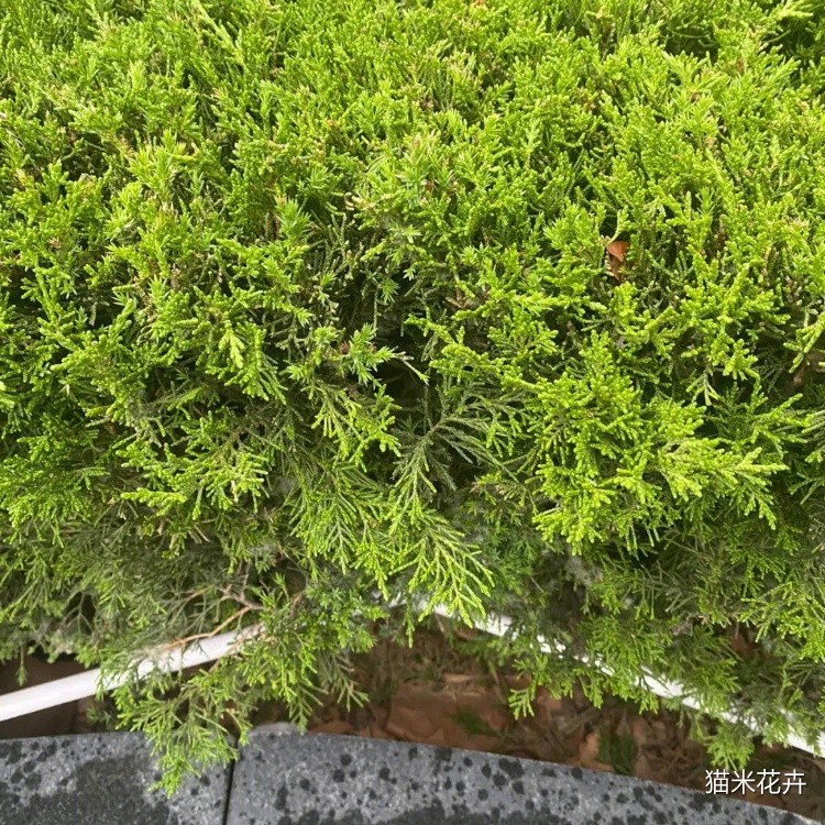 微信图片_20240309101738.jpg