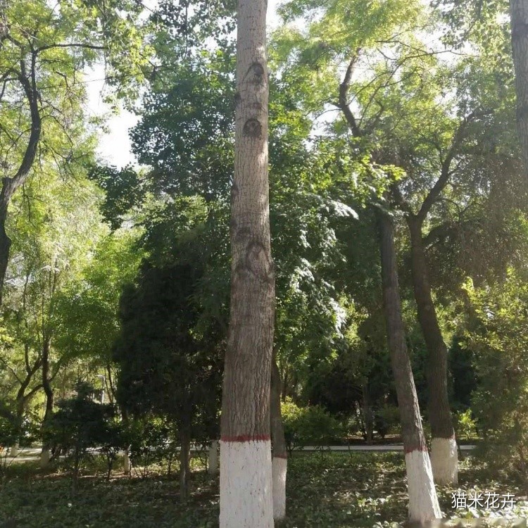 微信图片_20240309102636.jpg