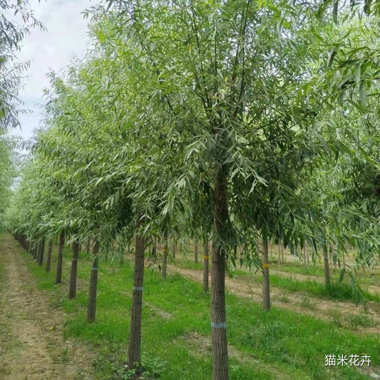 微信图片_20240309103020.jpg