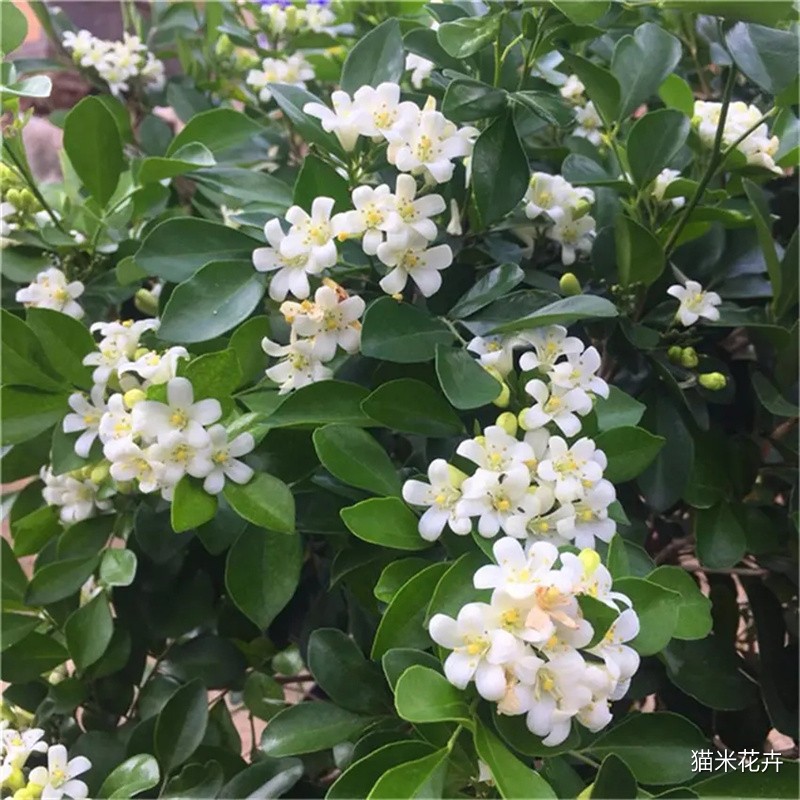 微信图片_20240309103715.jpg