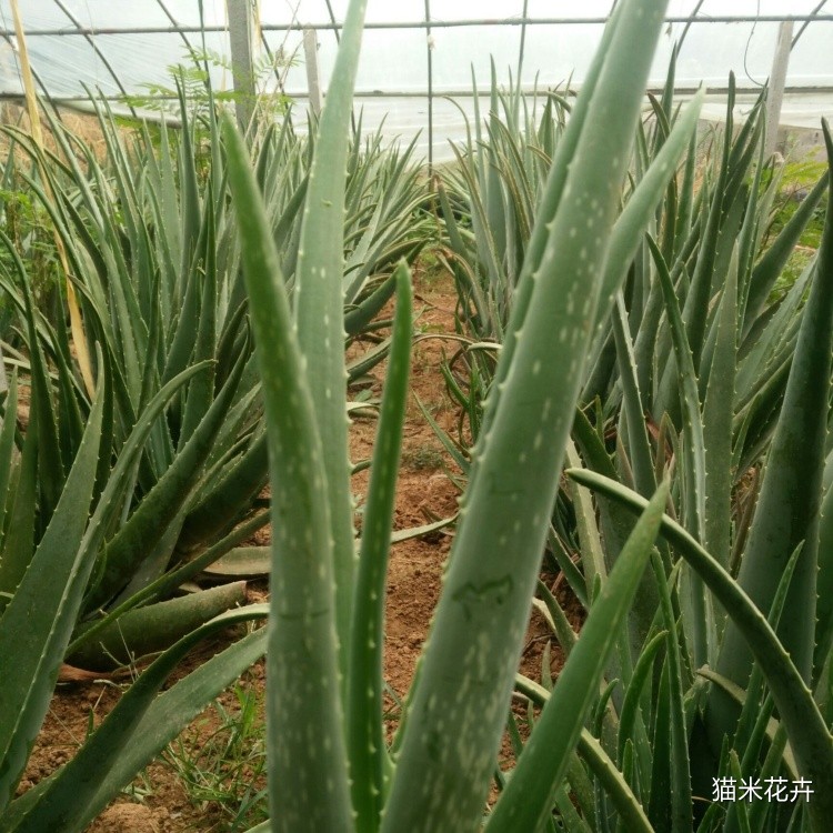 微信图片_20240309104658.jpg