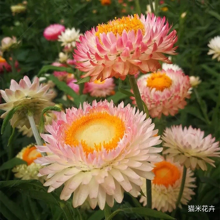 微信图片_20240309100720.jpg