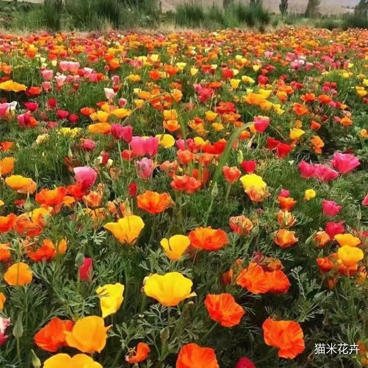 微信图片_20240309112501.jpg