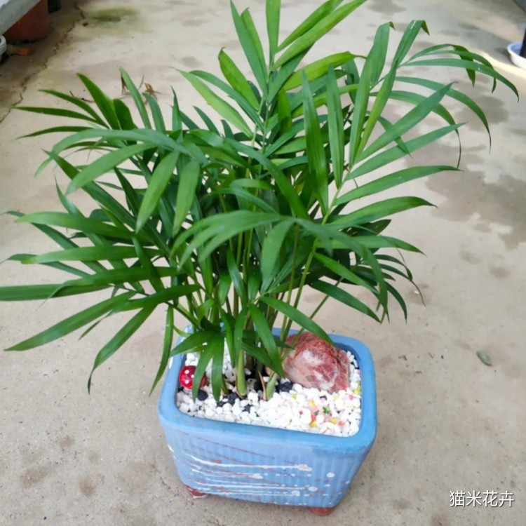 微信图片_20240309113054.jpg